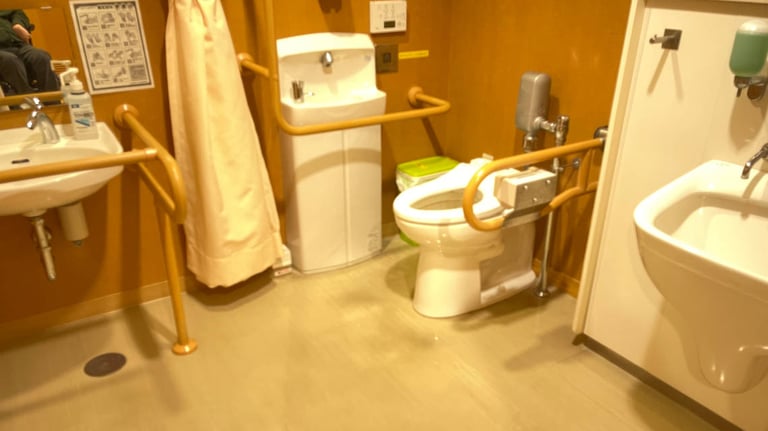 Accessible toilet at the museum