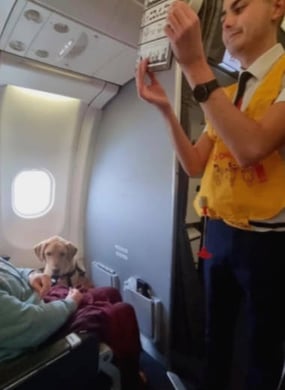 Nixon sitting by Nina's feet on the plane while a CA describes emergency procedures