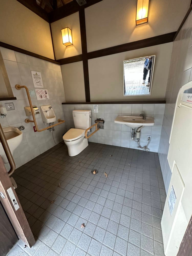 Accessible toilet interior
