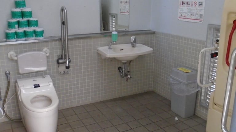 ueno zoo toilet 1 768x432