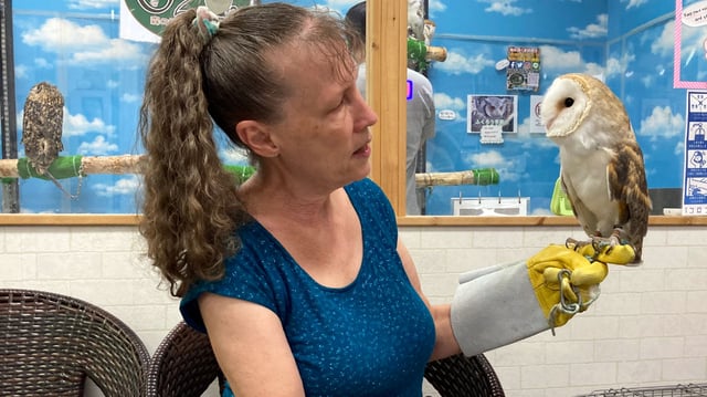Justin's mother holding an owl. It is perched on her finger. She is wearing a protective glove.
