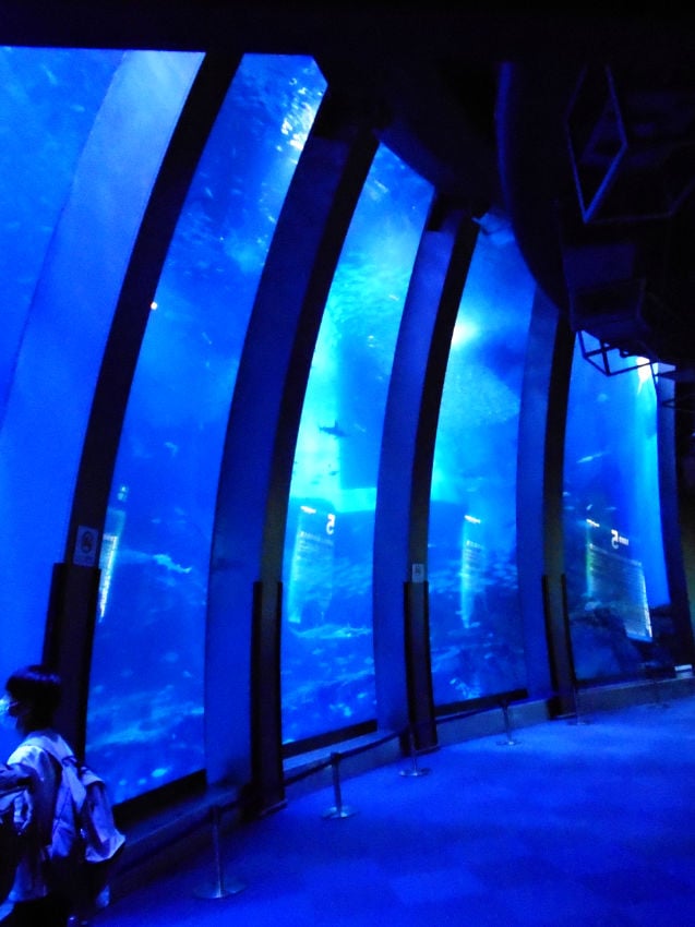 Aqua Museum aquarium