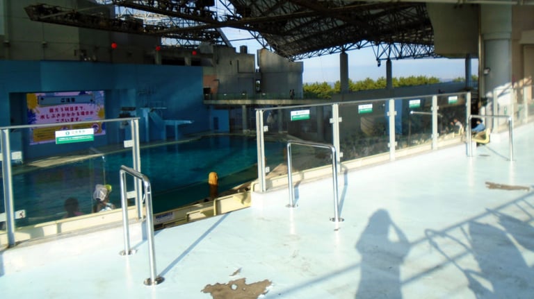 Aqua Museum stadium wheelchair seating 1 768x432