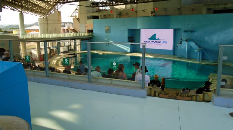 Aqua Museum stadium wheelchair seating 2 768x432