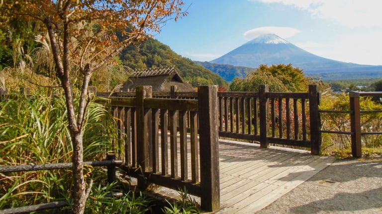 15 Top Bridge accessible west path to right 768x432