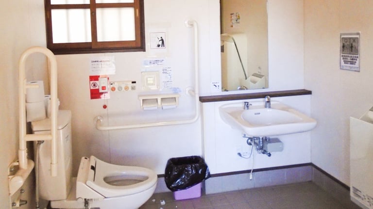 24 Rest area and public toilets 15 accessible toilet 768x432