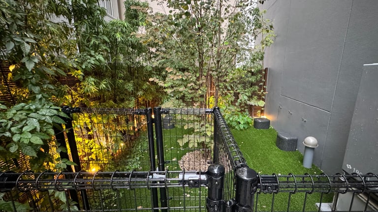dog run 768x432
