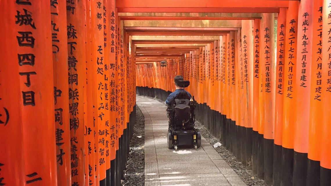 A serene view of Fushimi Inari Taisha's famous red torii gates forming a tunnel along a forested pathway. Sunlight filters through.