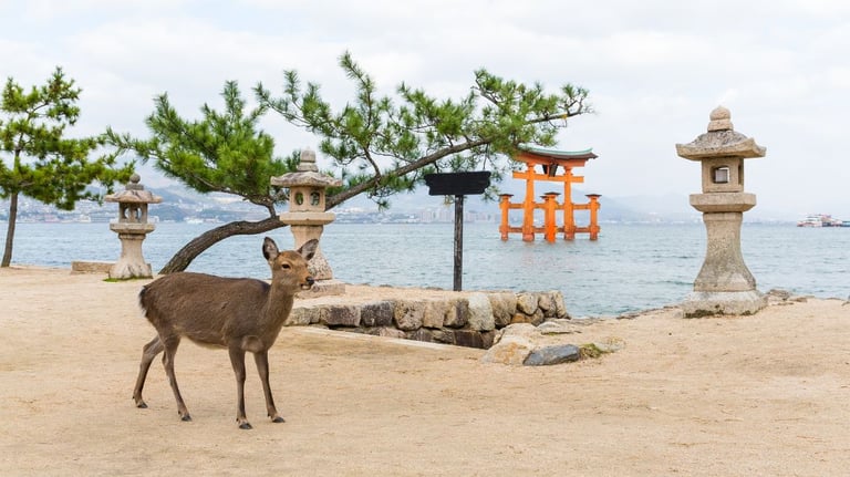 deer on path 768x432