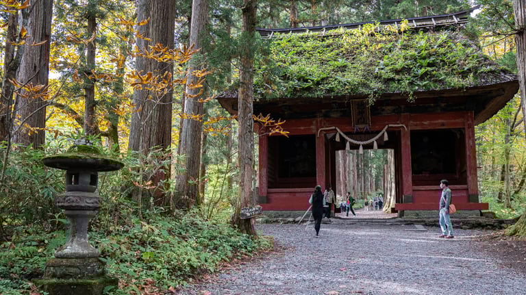 Togakushi gate 768x432