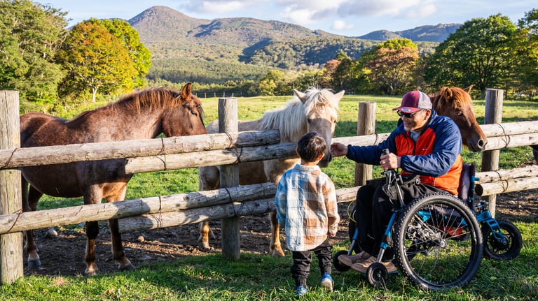 Togakushi horses 768x432
