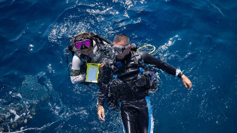 zerogravity diving 0 768x432