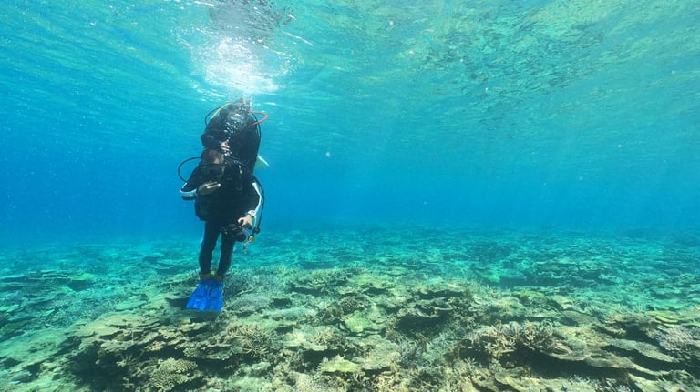 zerogravity diving 1 768x432