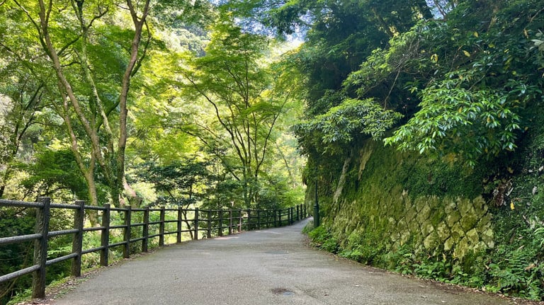 minoo falls path 3 768x432