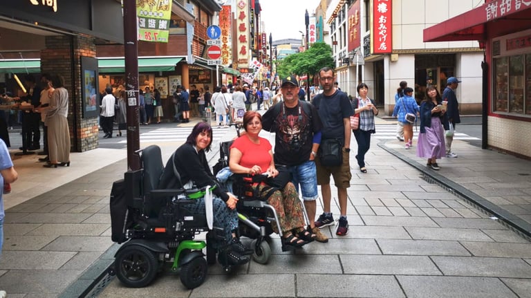 Full Day Accessible Barrier Free Tokyo Tour for Wheelchair Users 1 768x432