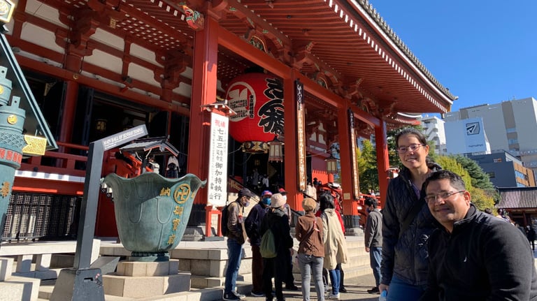 Full Day Accessible Barrier Free Tokyo Tour for Wheelchair Users 8 768x432