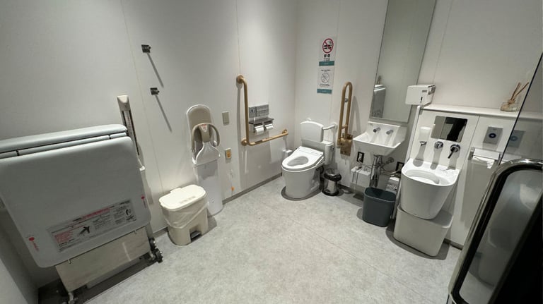 toilet 768x432