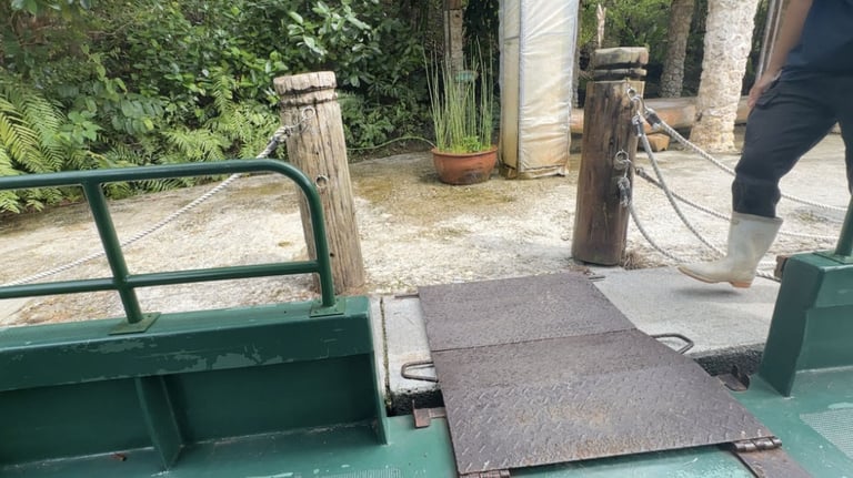 bios no oka cruise 2 768x432