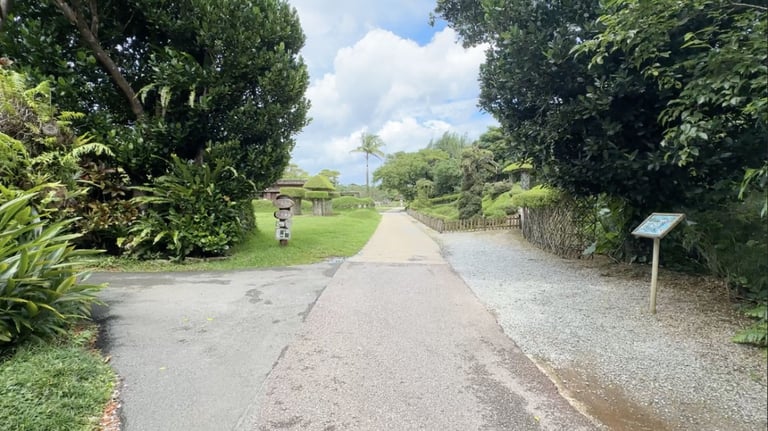 bios no oka paths 1 768x432