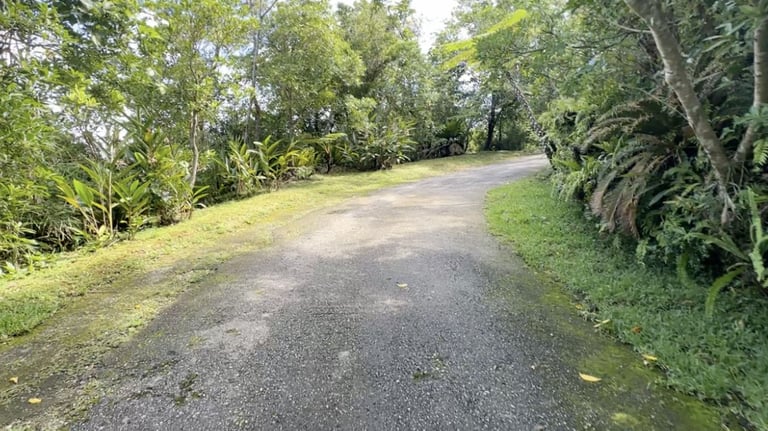 bios no oka paths 4 768x432