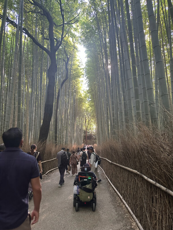 Tayjus Surampudi explores the peaceful Arashiyama Bamboo Forest in Kyoto in his power wheelchair. The towering bamboo creates a serene and shaded path filled with other visitors.