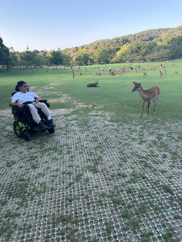 Tayjus Surampudi observes a deer up close at Nara Park while seated in his power wheelchair. The park’s wide open fields are filled with grazing deer.