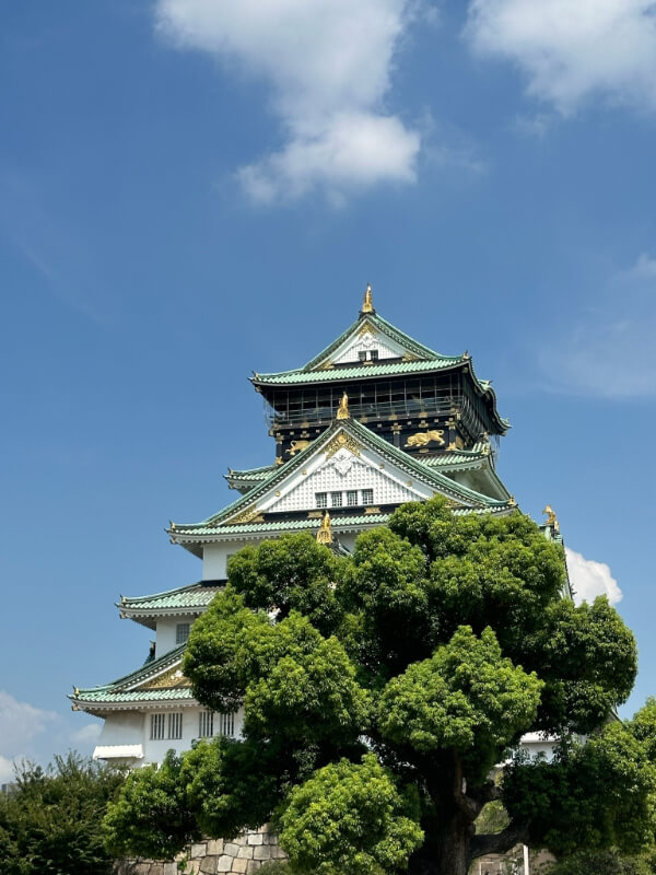 Osaka Castle stands tall under a bright blue sky, with its ornate green and gold rooftop gleaming in the sunlight. A large tree is in the foreground.