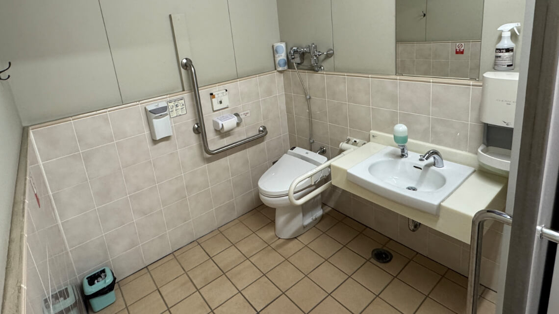 Accessible washroom with grab bars, a bidet toilet without a backrest, and a sink with space for a wheelchair user's legs