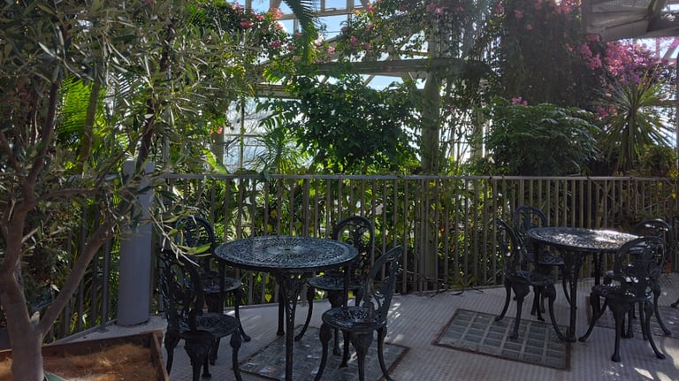 Metal tables and chairs in a rest area surrounded by lush greenery and flowers inside the Glasshouse. Metal tables and chairs in a rest area surrounded by lush greenery and flowers inside the Glasshouse.