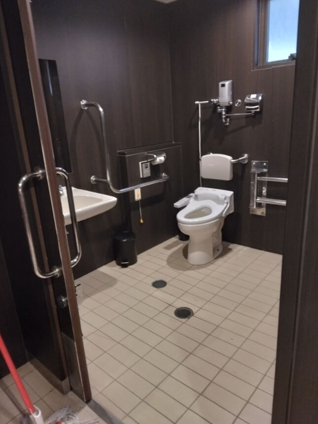 Accessible toilet at the Glasshouse, equipped with grab bars, a wheelchair-access sink, and a bidet toilet with backrest. Accessible toilet at the Glasshouse, equipped with grab bars, a wheelchair-access sink, and a bidet toilet with backrest.