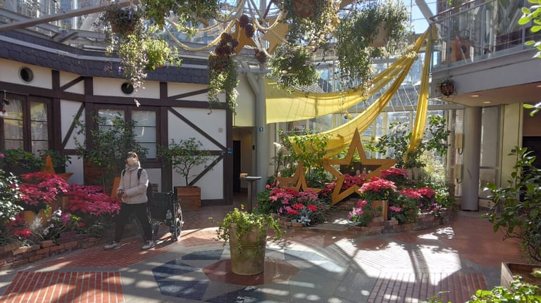 Inside the Glasshouse, featuring hanging plants, vibrant flowers, decorations, and natural light. Inside the Glasshouse, featuring hanging plants, vibrant flowers, decorations, and natural light.