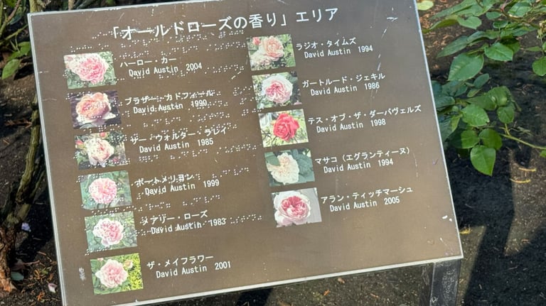 Sign featuring images and names of roses with Japanese braille included on the board. Sign featuring images and names of roses with Japanese braille included on the board.