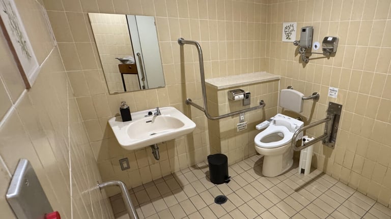 Accessible toilet at the aroma center, featuring grab bars, a wheelchair-access sink, a bidet toilet with a backrest, and ample space. Accessible toilet at the aroma center, featuring grab bars, a wheelchair-access sink, a bidet toilet with a backrest, and ample space.