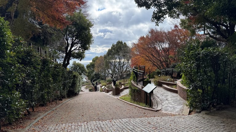 A tree-lined slope leading to the gardens, with some steep areas and pathways. A tree-lined slope leading to the gardens, with some steep areas and pathways.