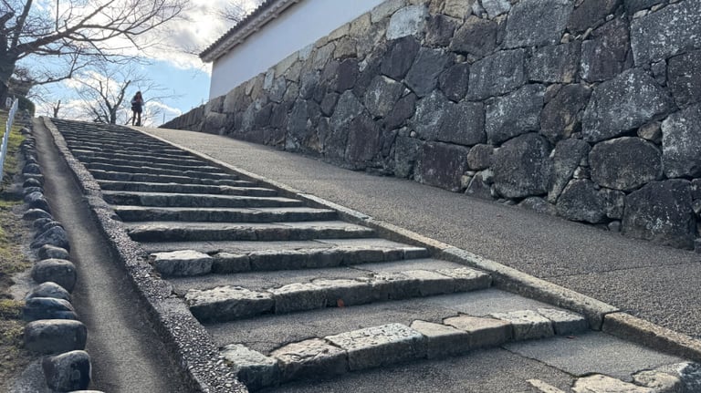 A steep pathway with uneven stone steps leading up to Nishi no Maru, bordered by stone walls and a smoother slope on the side. A steep pathway with uneven stone steps leading up to Nishi no Maru, bordered by stone walls and a smoother slope on the side.