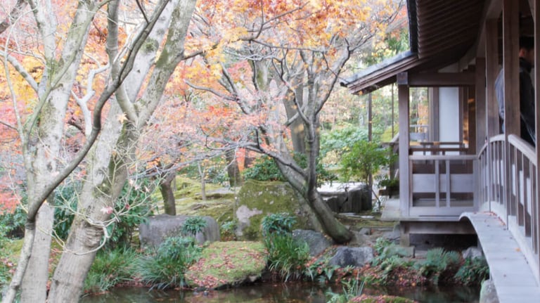 Trees and moss-covered rocks beside a shallow stream, next to the restaurant with a covered walkway.