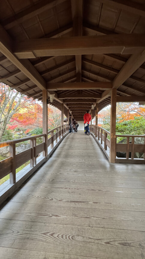 A smooth wooden walkway with a covered roof and railings, leading through trees.