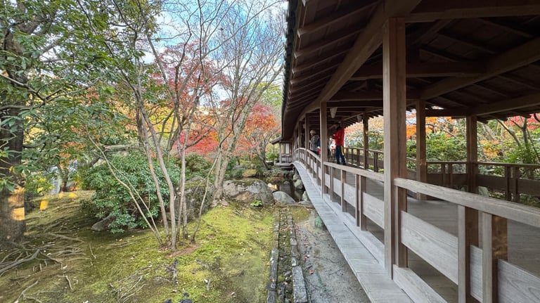 A covered wooden walkway with railings in Kokoen Garden, surrounded by trees with autumn foliage and a moss-covered ground below. A covered wooden walkway with railings in Kokoen Garden, surrounded by trees with autumn foliage and a moss-covered ground below.
