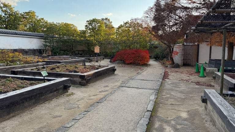 A garden area with raised planting beds bordered by wooden frames, alongside a smooth stone path with a step on either side.