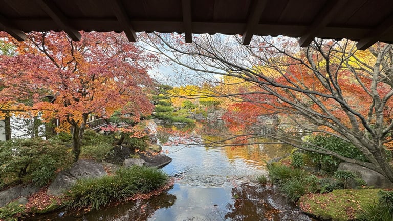 A serene pond surrounded by trees and shrubs, viewed from beneath a covered wooden viewing area.