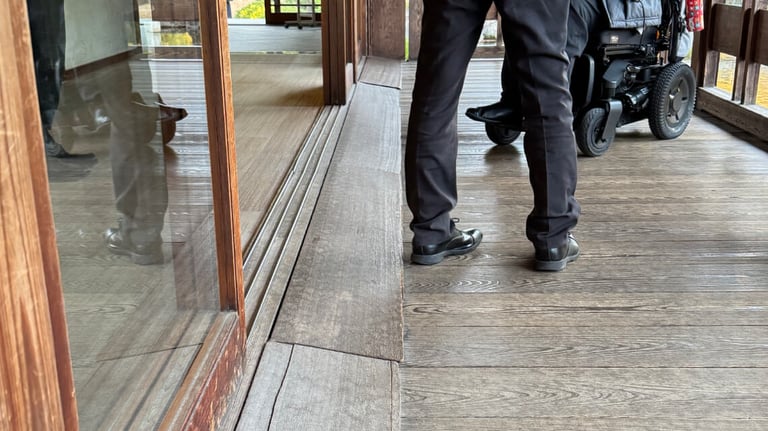 Small wooden ramps have been added to the viewing area for smooth wheelchair access.