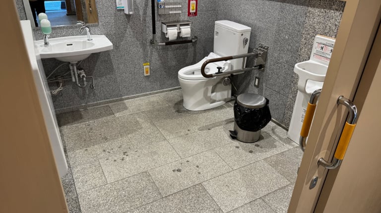 An accessible toilet near the garden entrance with support bars, a low sink, a child seat, and baby changing table.