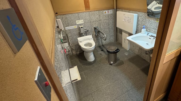 The interior of the accessible toilet near the restaurant, equipped with support bars, a low sink, a baby changing table, and automatic door buttons.