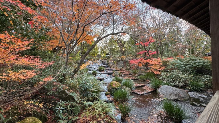 A small stream flows over rocks, surrounded by dense greenery and trees, visible from the covered wooden walkway.
