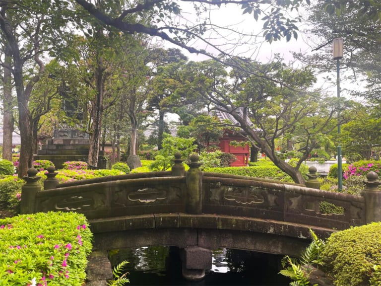 Asakusa family bridge 768x576