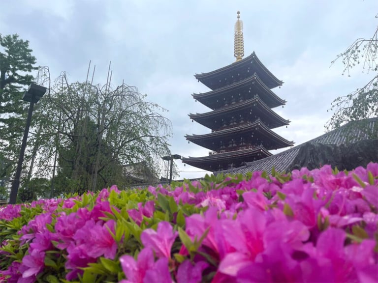 Asakusa family pagoda 768x576
