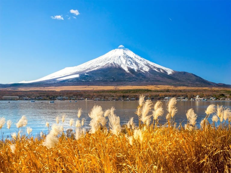 fuji kawaguchiko fall 768x575