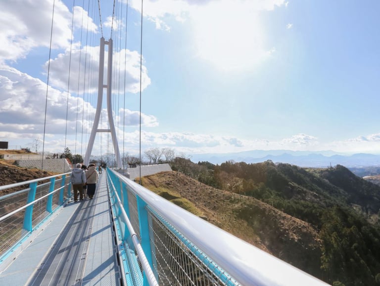 hakone skywalk1 768x579