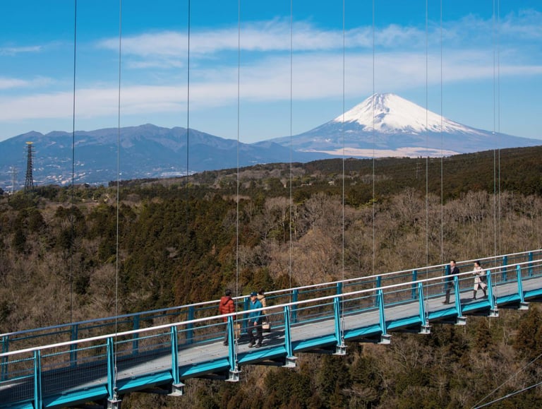 hakone skywalk2 768x579