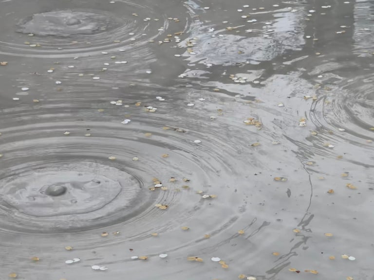 oniishi bozu 1 768x576